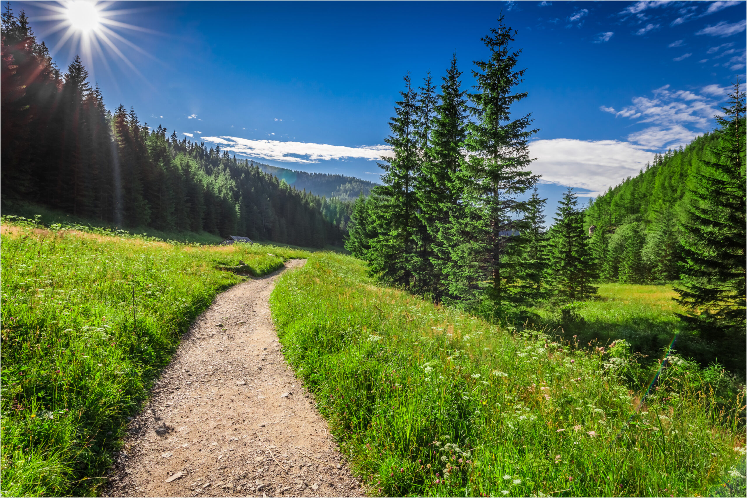 Hiking trail near Newpark Resort